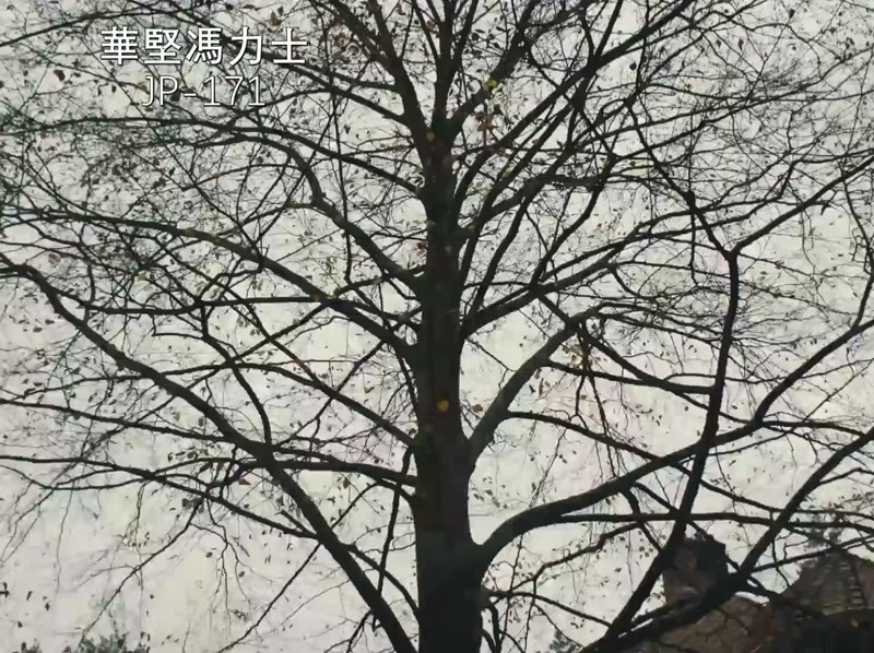 麻痹剧照1