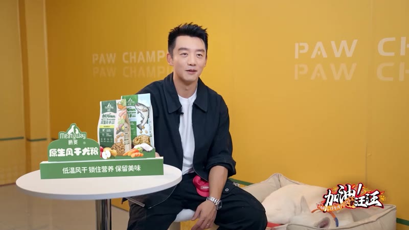 加油！汪汪剧照2