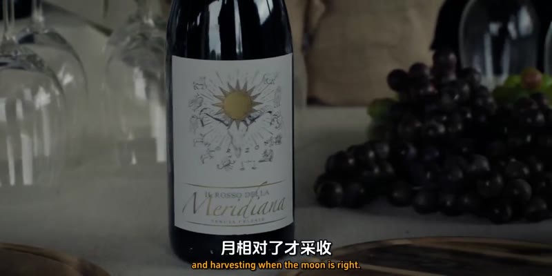 狐狸女士第三季剧照2