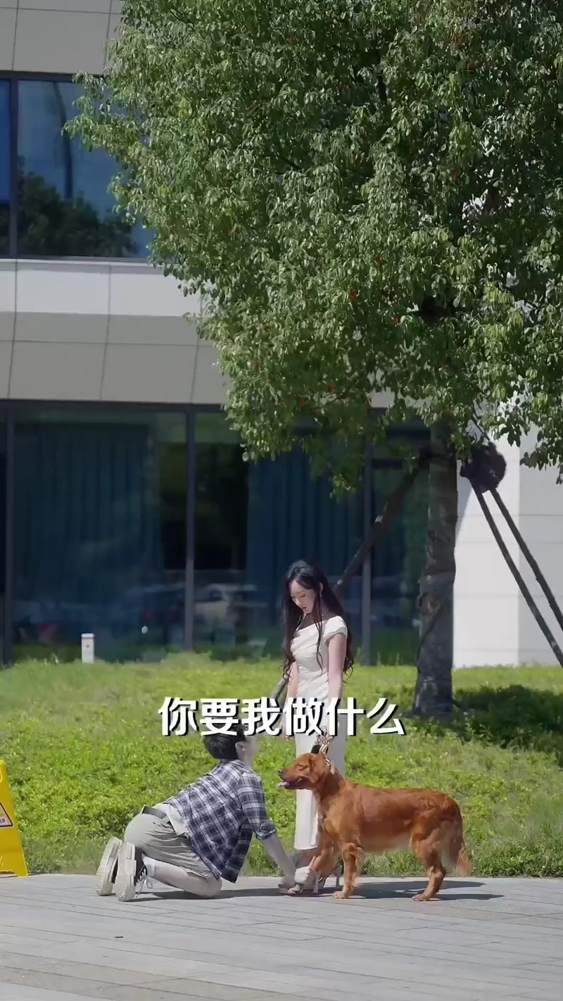 重生打工王者剧照3