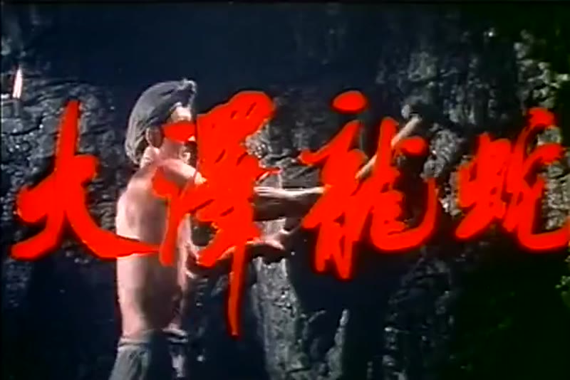 大泽龙蛇剧照1