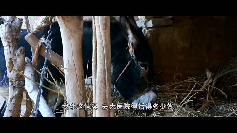 达芬奇的蛋剧照2