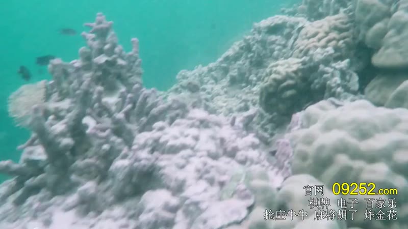 我是一个贼剧照1