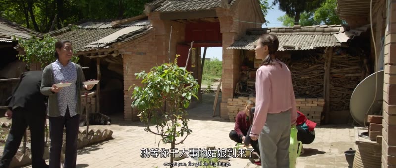 风从塬上来剧照3