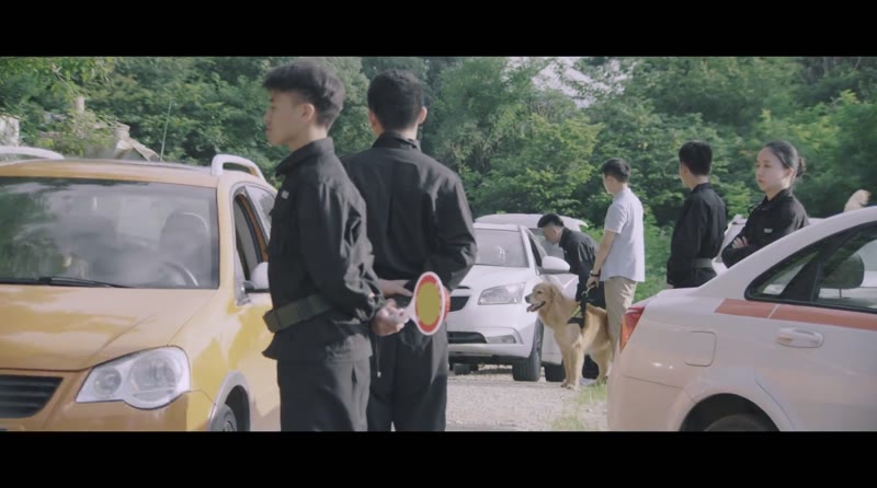 我的主人是条狗剧照3