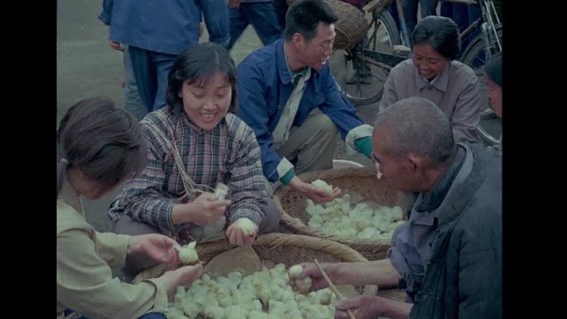 六斤县长剧照2