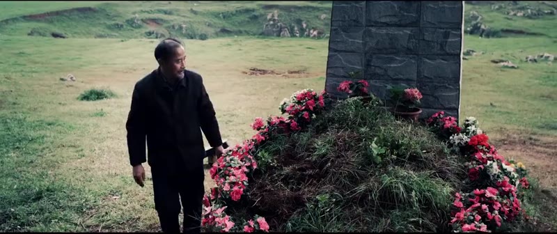 杜鹃花红剧照3