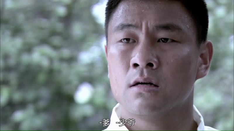 英雄泪剧照2