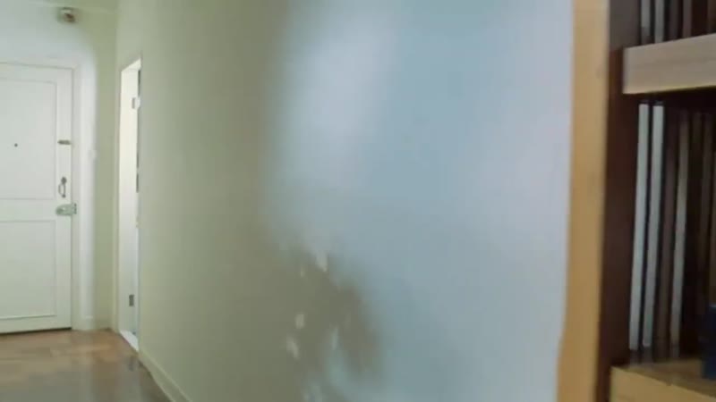 玉女添丁（粤语版）剧照1