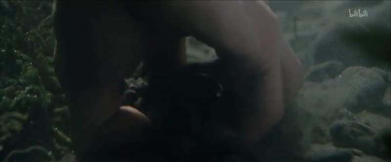 指环王3：王者无敌剧照2