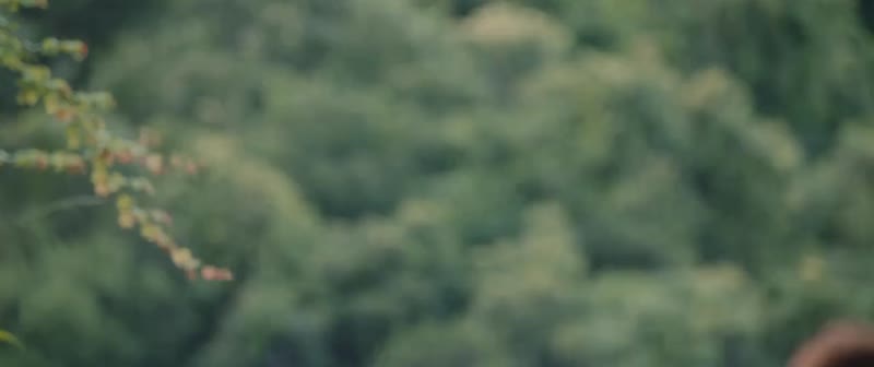 巨星养成记剧照1