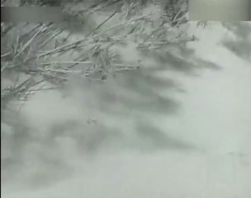 水剧照1