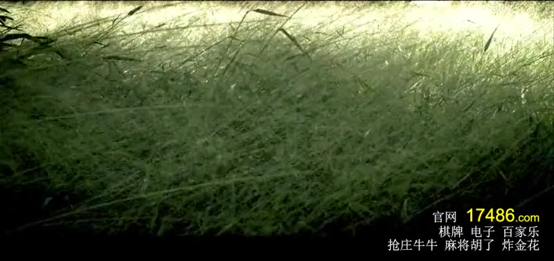 烈血暹士2剧照3
