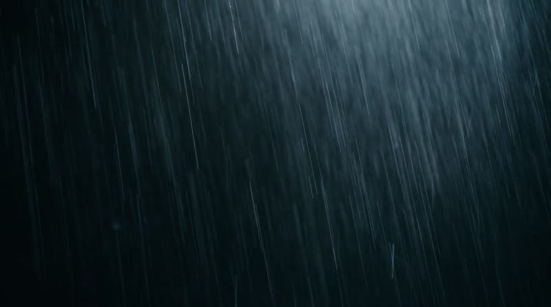 匿名者剧照1