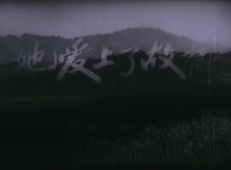 她爱上了故乡剧照1