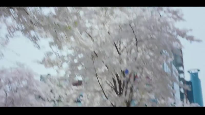 青春应援剧照2