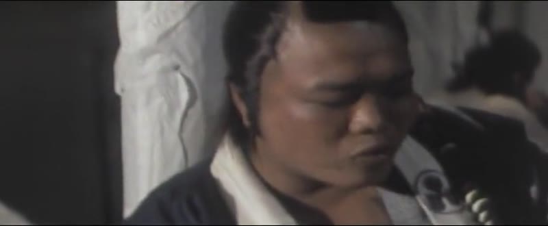剑气萧萧孔雀翎剧照1