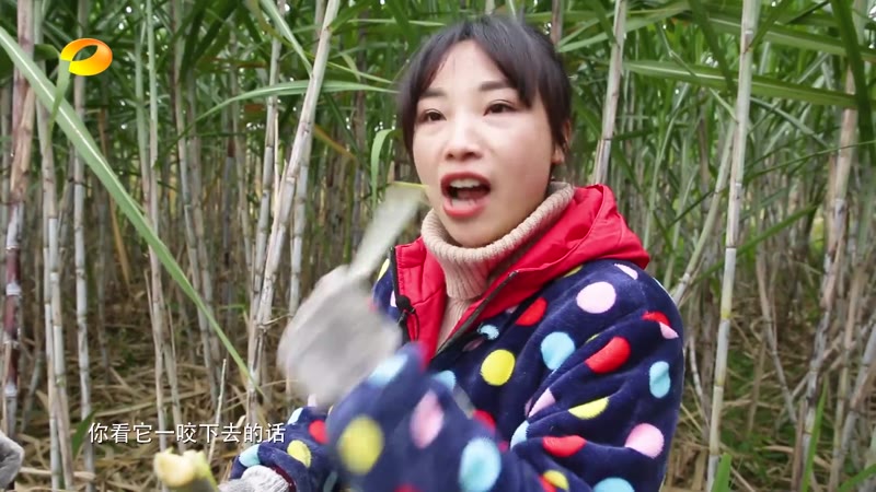 冬景胜春华剧照2