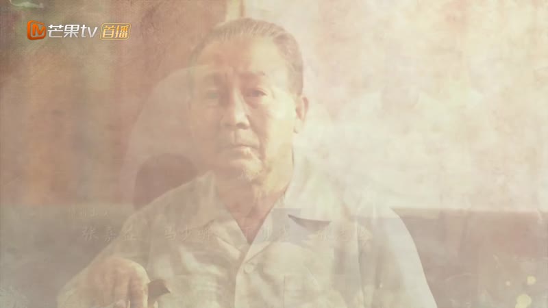 山河锦绣剧照2