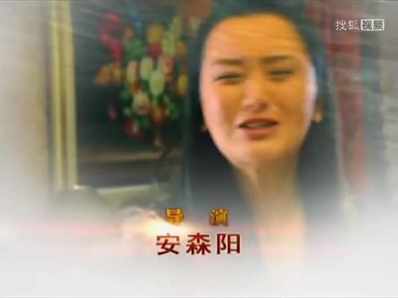 田教授家的二十八个亲威剧照2