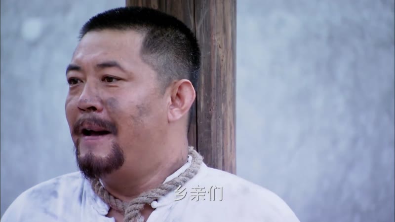 家国恩仇记剧照2