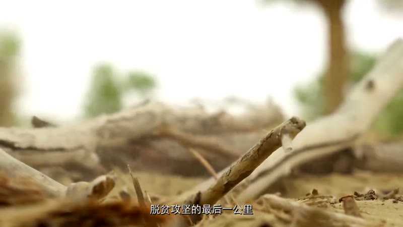 中国新疆 反恐前沿剧照1