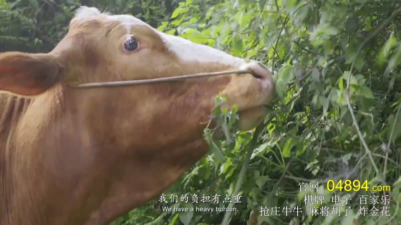 柴米油盐之上剧照3