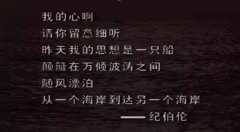 陌生的海岸剧照1