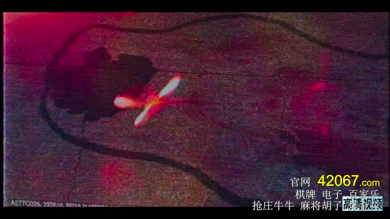 赌命为王剧照3