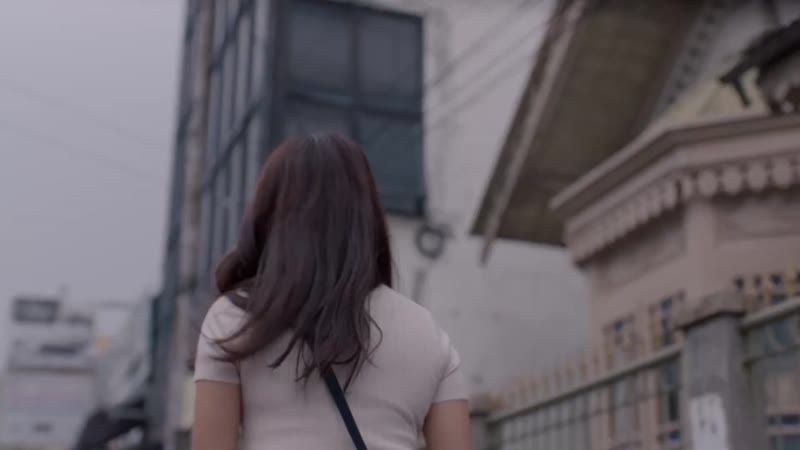 我的流浪狗剧照2