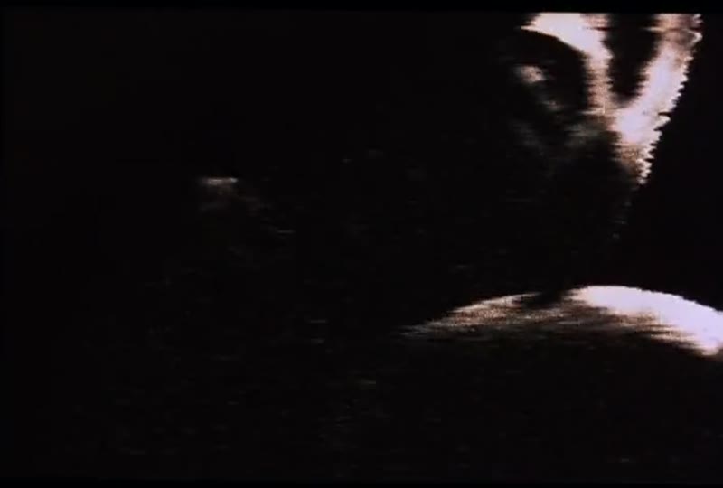 见鬼2剧照1