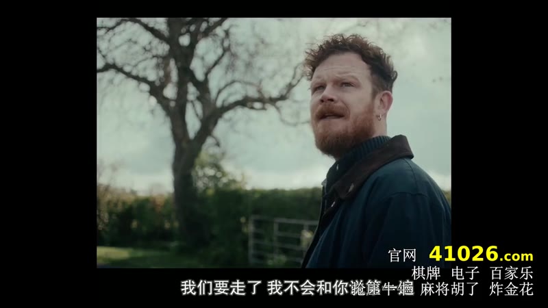 爱尔兰式告别剧照3