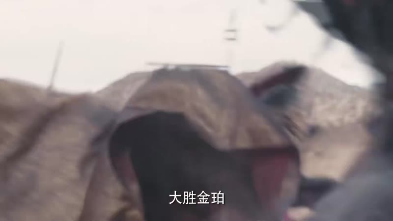 花琉璃轶闻剧照2