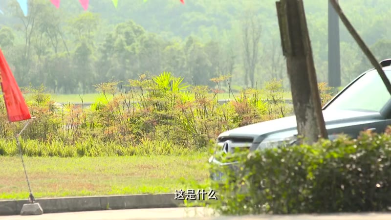 挺住！李波罗剧照1